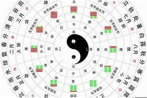 金木水火土生肖|金木水火土五行生肖查询表 – 五行的介绍